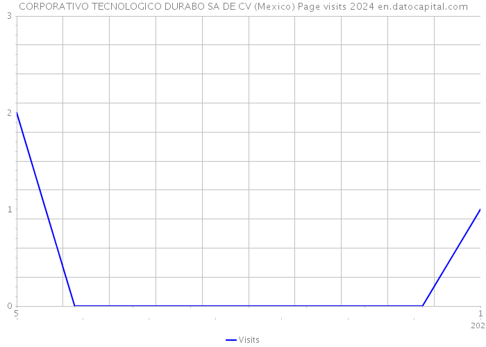 CORPORATIVO TECNOLOGICO DURABO SA DE CV (Mexico) Page visits 2024 