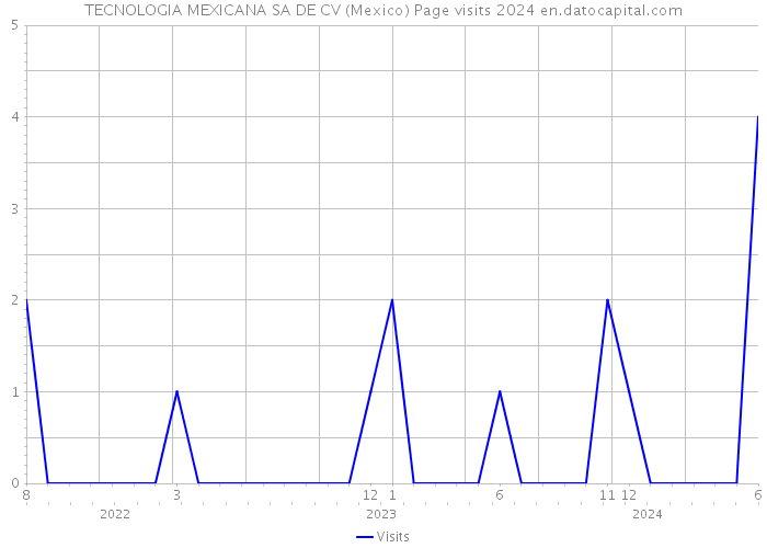 TECNOLOGIA MEXICANA SA DE CV (Mexico) Page visits 2024 