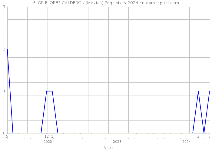 FLOR FLORES CALDERON (Mexico) Page visits 2024 
