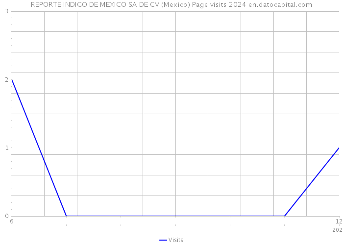 REPORTE INDIGO DE MEXICO SA DE CV (Mexico) Page visits 2024 