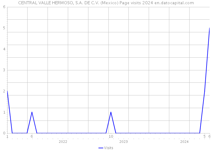 CENTRAL VALLE HERMOSO, S.A. DE C.V. (Mexico) Page visits 2024 