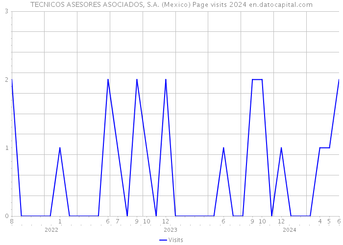 TECNICOS ASESORES ASOCIADOS, S.A. (Mexico) Page visits 2024 