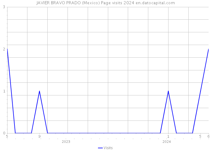 JAVIER BRAVO PRADO (Mexico) Page visits 2024 