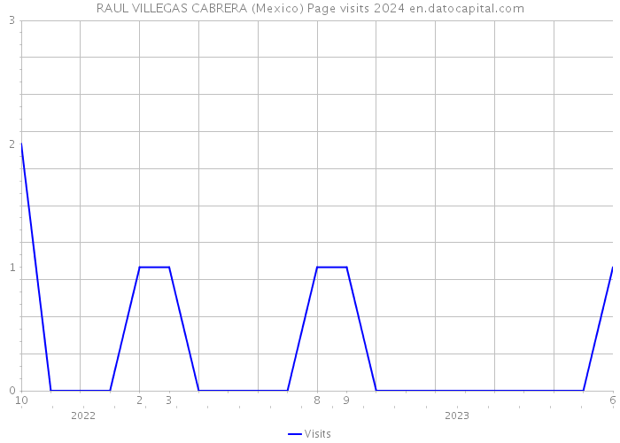 RAUL VILLEGAS CABRERA (Mexico) Page visits 2024 