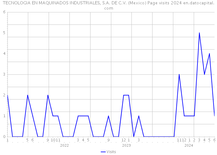 TECNOLOGIA EN MAQUINADOS INDUSTRIALES, S.A. DE C.V. (Mexico) Page visits 2024 