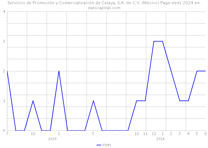 Servicios de Promoción y Comercialización de Celaya, S.A. de C.V. (Mexico) Page visits 2024 