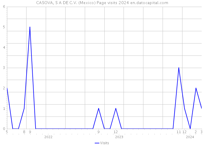 CASOVA, S A DE C.V. (Mexico) Page visits 2024 