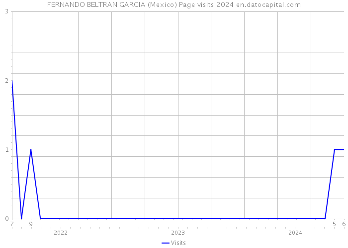 FERNANDO BELTRAN GARCIA (Mexico) Page visits 2024 