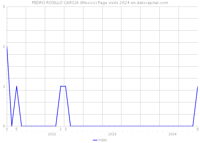 PEDRO ROSILLO GARCIA (Mexico) Page visits 2024 