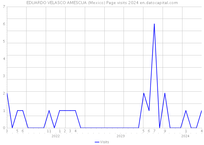 EDUARDO VELASCO AMESCUA (Mexico) Page visits 2024 