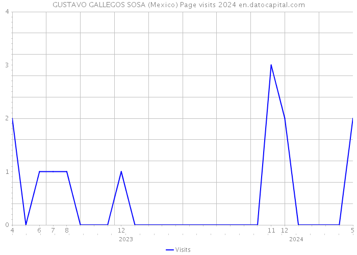 GUSTAVO GALLEGOS SOSA (Mexico) Page visits 2024 
