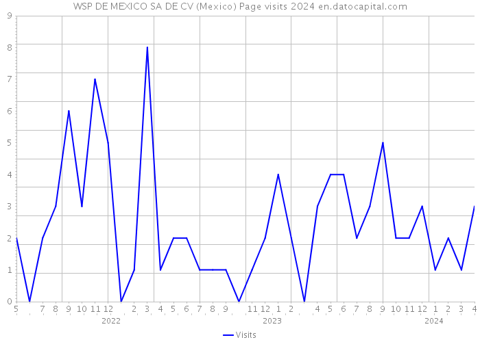 WSP DE MEXICO SA DE CV (Mexico) Page visits 2024 