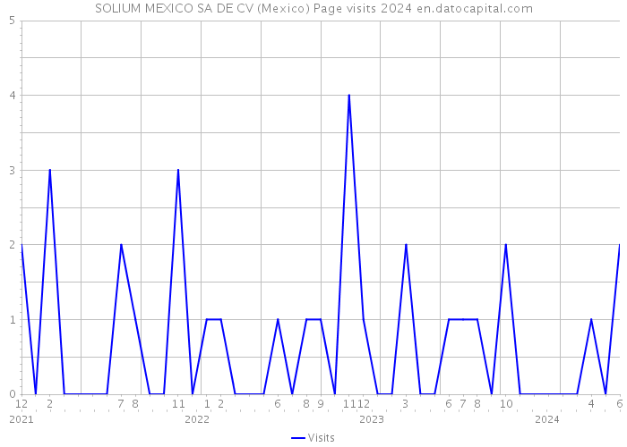 SOLIUM MEXICO SA DE CV (Mexico) Page visits 2024 