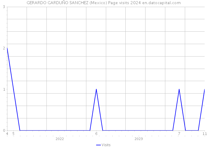 GERARDO GARDUÑO SANCHEZ (Mexico) Page visits 2024 