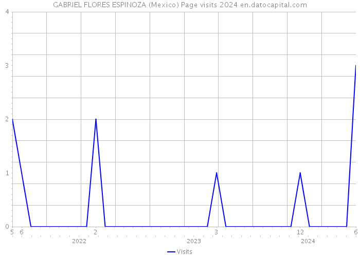 GABRIEL FLORES ESPINOZA (Mexico) Page visits 2024 