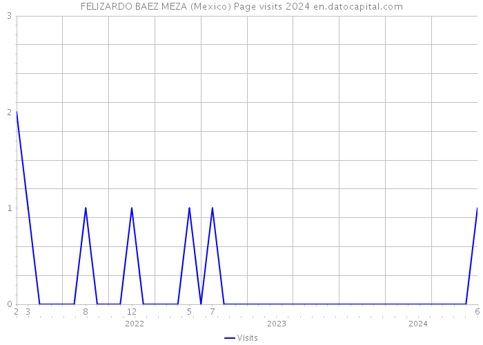 FELIZARDO BAEZ MEZA (Mexico) Page visits 2024 