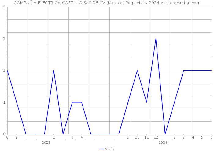 COMPAÑIA ELECTRICA CASTILLO SAS DE CV (Mexico) Page visits 2024 