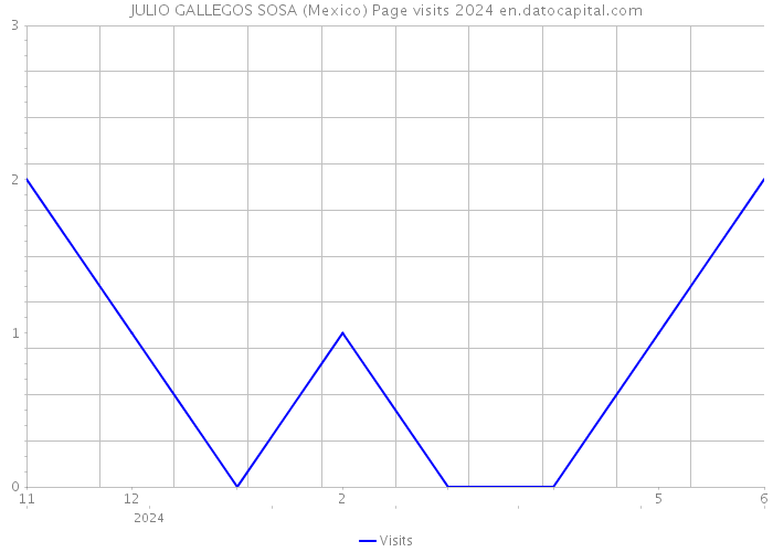 JULIO GALLEGOS SOSA (Mexico) Page visits 2024 