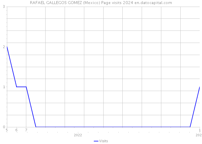 RAFAEL GALLEGOS GOMEZ (Mexico) Page visits 2024 