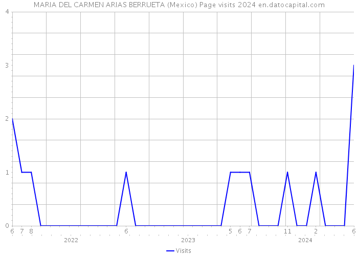 MARIA DEL CARMEN ARIAS BERRUETA (Mexico) Page visits 2024 