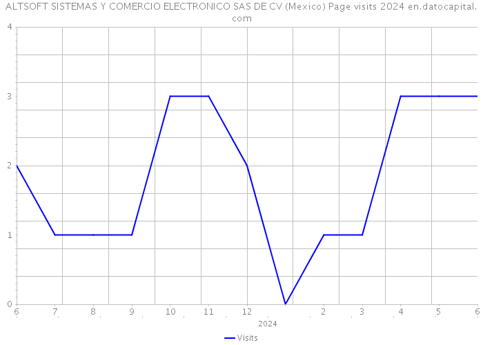 ALTSOFT SISTEMAS Y COMERCIO ELECTRONICO SAS DE CV (Mexico) Page visits 2024 