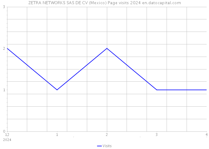 ZETRA NETWORKS SAS DE CV (Mexico) Page visits 2024 