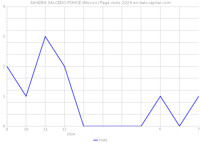 SANDRA SALCEDO PONCE (Mexico) Page visits 2024 