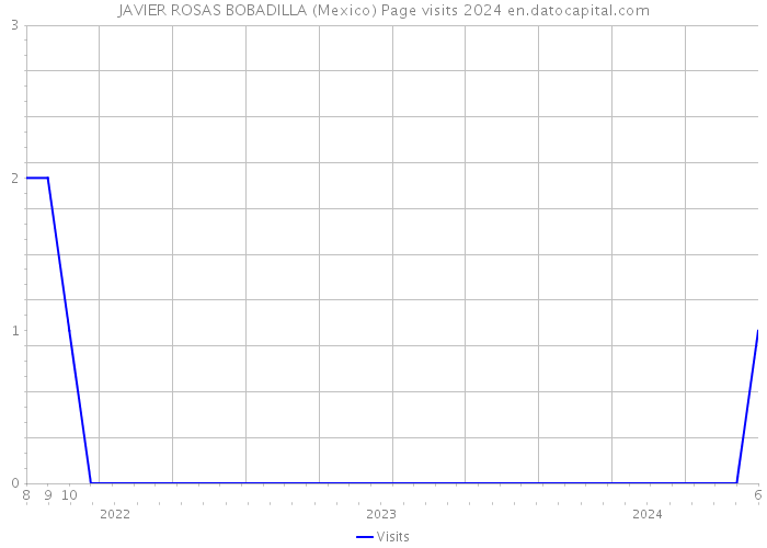 JAVIER ROSAS BOBADILLA (Mexico) Page visits 2024 
