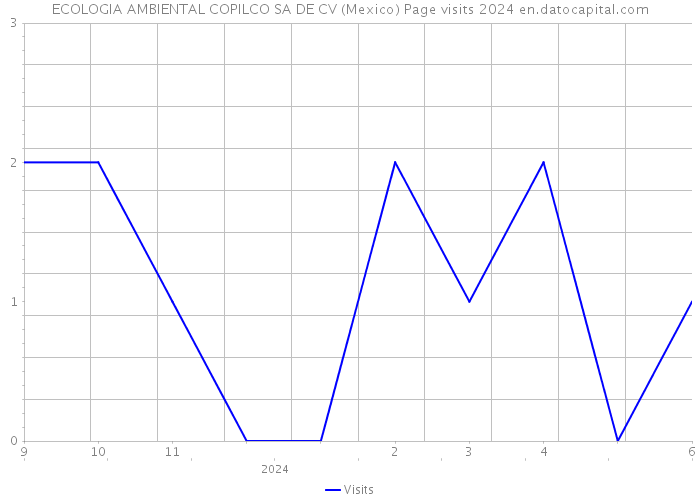 ECOLOGIA AMBIENTAL COPILCO SA DE CV (Mexico) Page visits 2024 