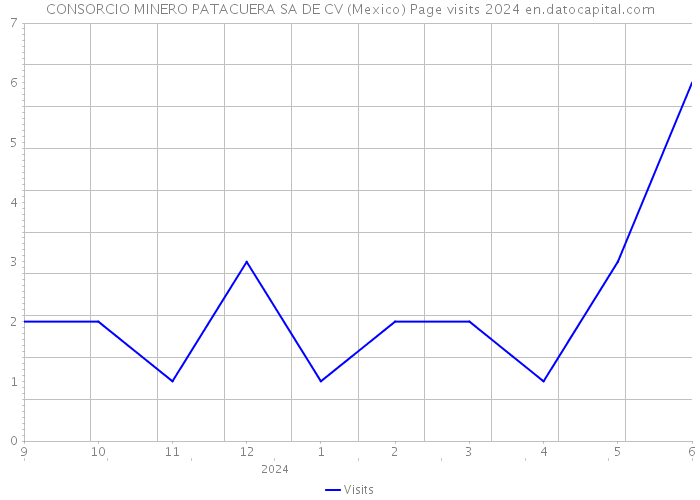 CONSORCIO MINERO PATACUERA SA DE CV (Mexico) Page visits 2024 