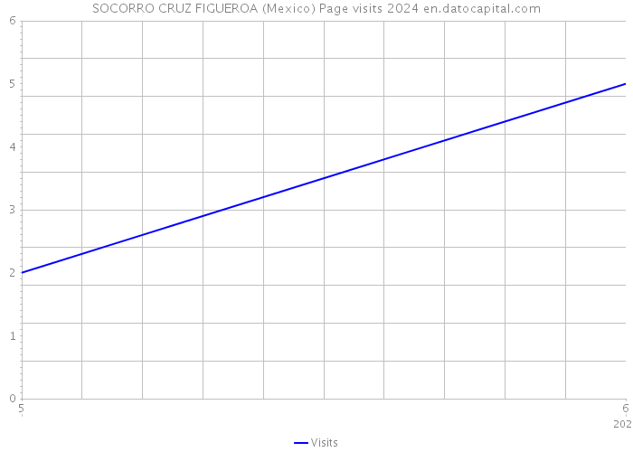 SOCORRO CRUZ FIGUEROA (Mexico) Page visits 2024 