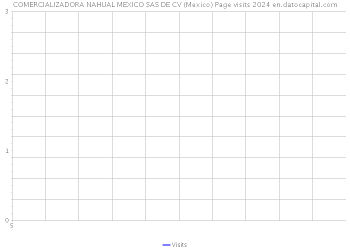 COMERCIALIZADORA NAHUAL MEXICO SAS DE CV (Mexico) Page visits 2024 