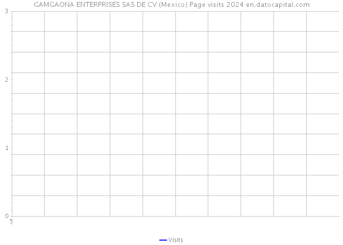 GAMGAONA ENTERPRISES SAS DE CV (Mexico) Page visits 2024 
