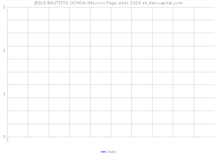 JESUS BAUTISTA OCHOA (Mexico) Page visits 2024 