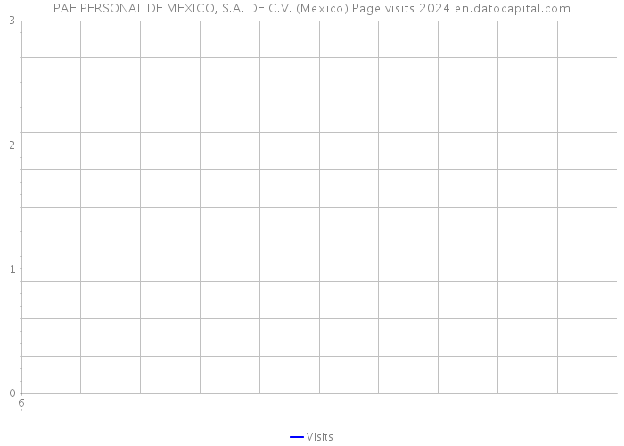 PAE PERSONAL DE MEXICO, S.A. DE C.V. (Mexico) Page visits 2024 