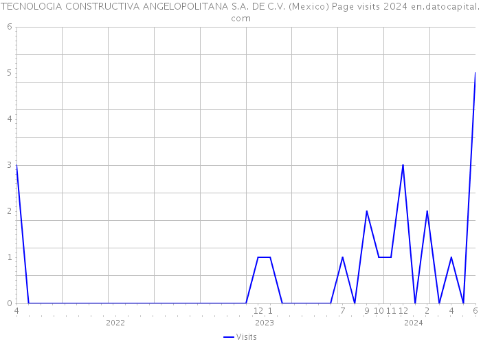 TECNOLOGIA CONSTRUCTIVA ANGELOPOLITANA S.A. DE C.V. (Mexico) Page visits 2024 
