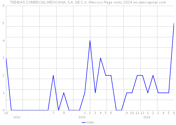 TIENDAS COMERCIAL MEXICANA, S.A. DE C.V. (Mexico) Page visits 2024 