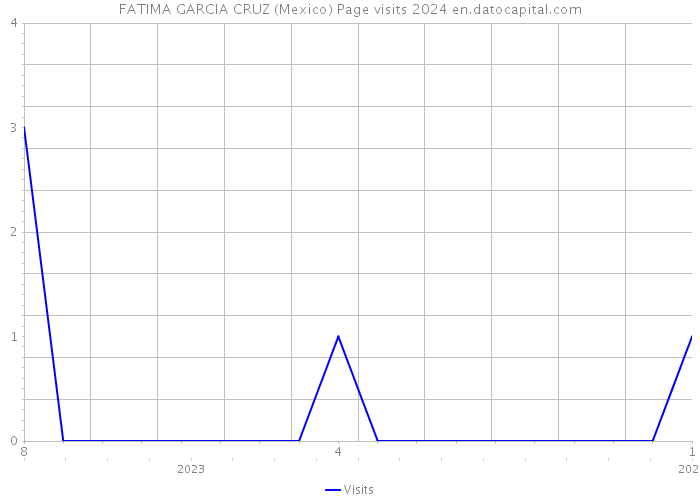 FATIMA GARCIA CRUZ (Mexico) Page visits 2024 