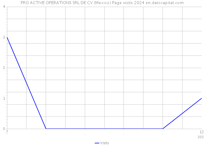 PRO ACTIVE OPERATIONS SRL DE CV (Mexico) Page visits 2024 