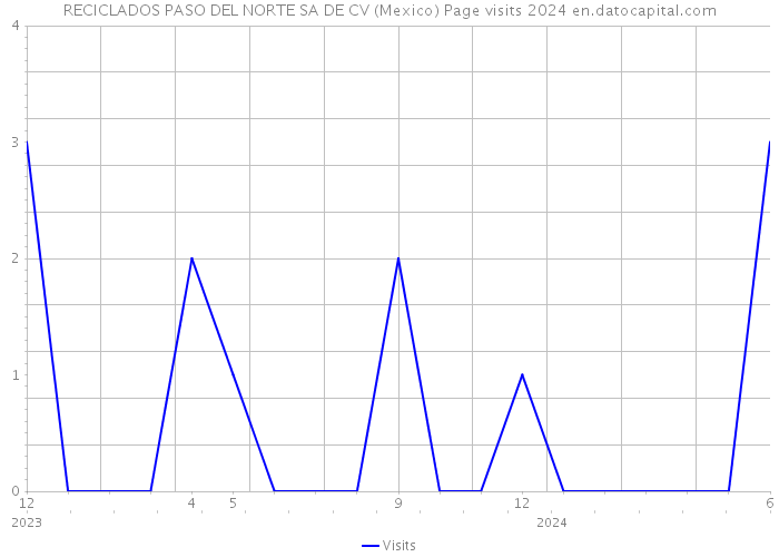 RECICLADOS PASO DEL NORTE SA DE CV (Mexico) Page visits 2024 