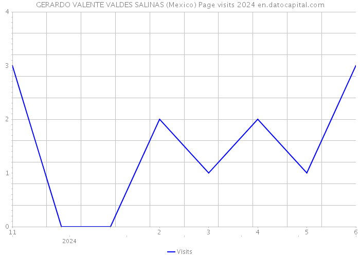 GERARDO VALENTE VALDES SALINAS (Mexico) Page visits 2024 