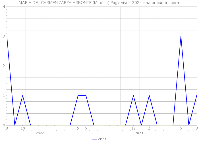 MARIA DEL CARMEN ZARZA ARRONTE (Mexico) Page visits 2024 