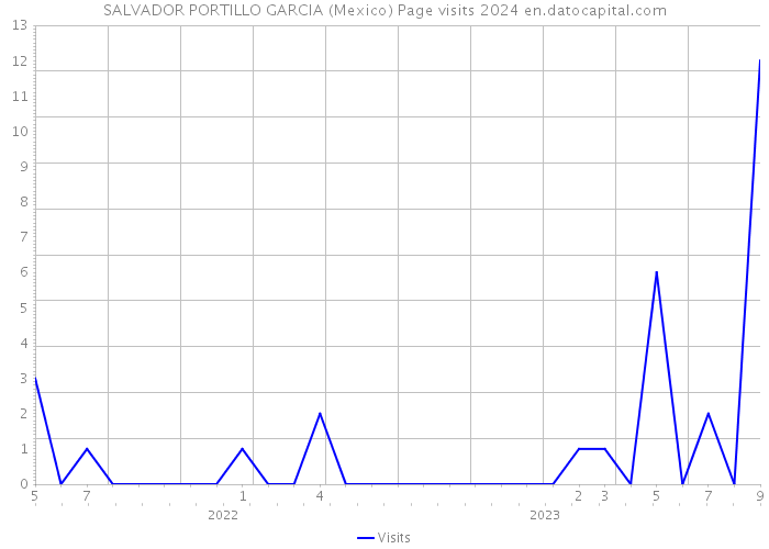SALVADOR PORTILLO GARCIA (Mexico) Page visits 2024 