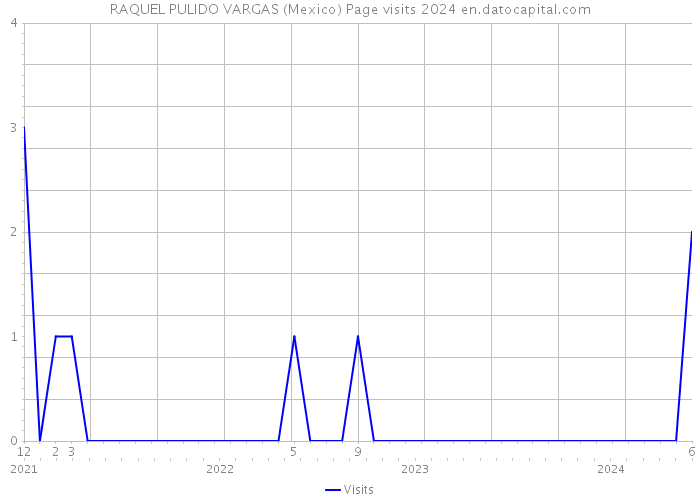 RAQUEL PULIDO VARGAS (Mexico) Page visits 2024 