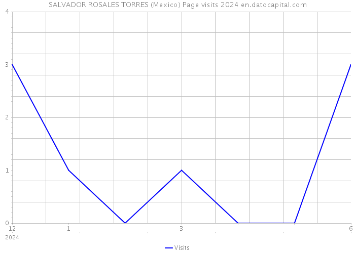 SALVADOR ROSALES TORRES (Mexico) Page visits 2024 