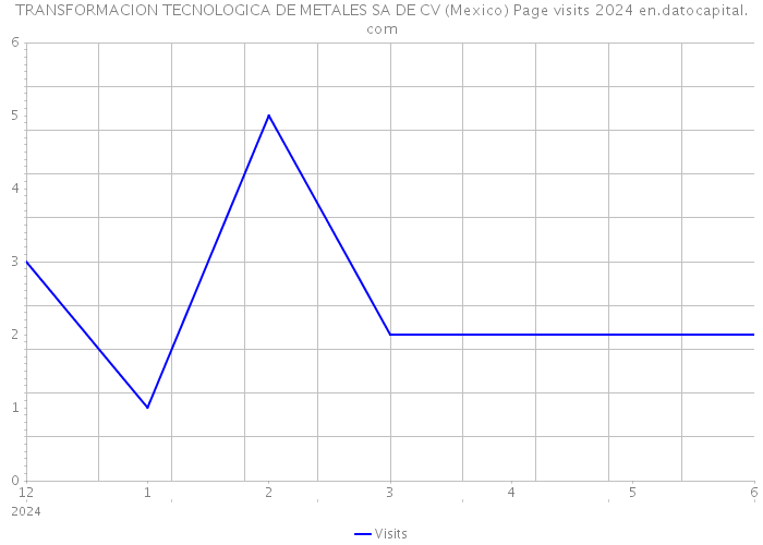 TRANSFORMACION TECNOLOGICA DE METALES SA DE CV (Mexico) Page visits 2024 