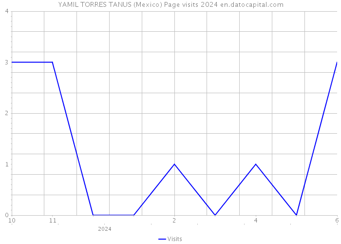 YAMIL TORRES TANUS (Mexico) Page visits 2024 