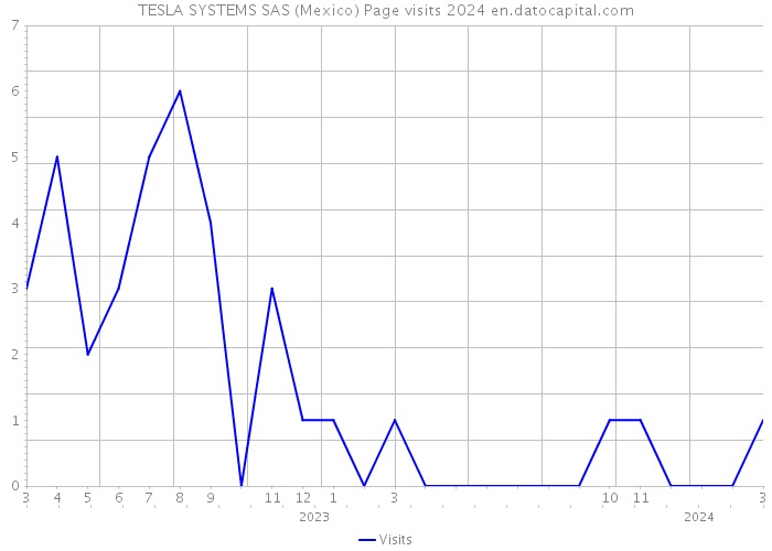 TESLA SYSTEMS SAS (Mexico) Page visits 2024 