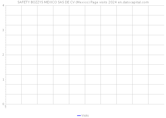 SAFETY BOZZYS MEXICO SAS DE CV (Mexico) Page visits 2024 