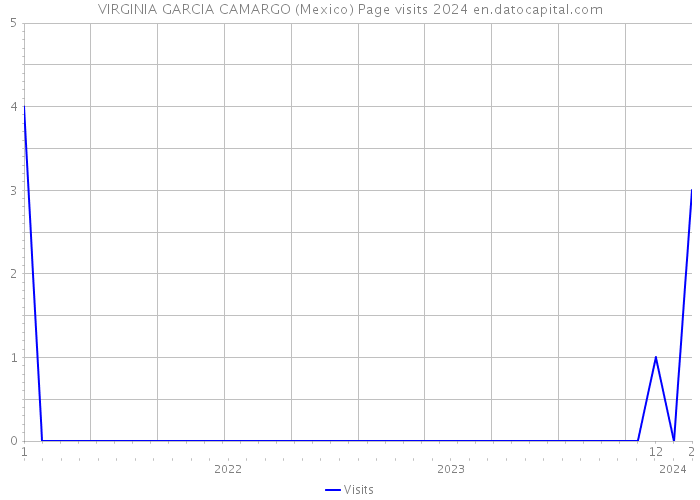 VIRGINIA GARCIA CAMARGO (Mexico) Page visits 2024 